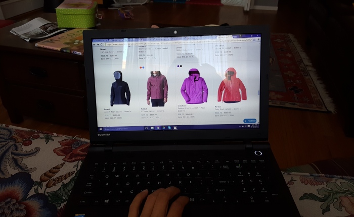Week 22: The Lure of Online Shopping